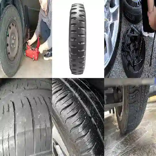 cambio gomme petlas firenze competenza tecnica avanzata