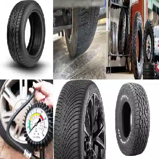 convergenza pneumatici petlas firenze resistenza affidabile nel tempo