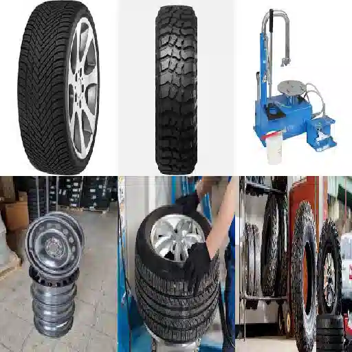 deposito gomme leao firenze ambiente pulito e sicuro per la tutela dei pneumatici