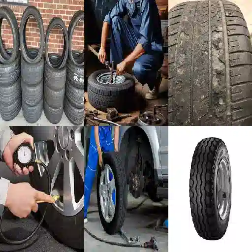 deposito gomme petlas firenze convenienza sorprendente nella gestione gomme stagionali