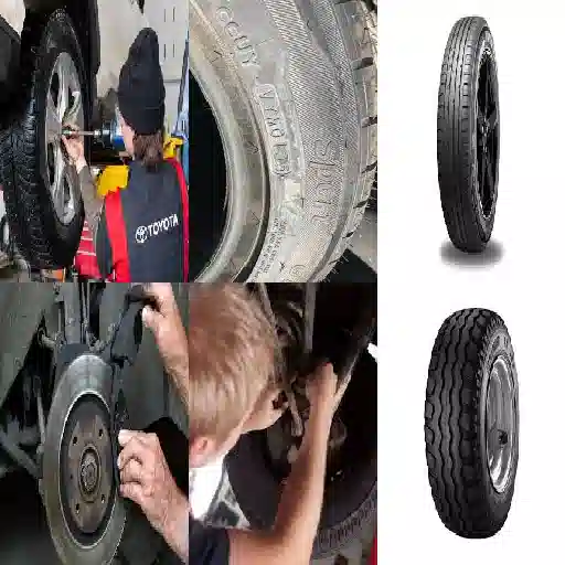 per quanto tempo e valido il coupon per il cam sesto fiorentino layout grafico che mostra termini di utilizzo dettagliati