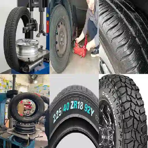 posso prenotare un servizio di cambio gomme stag campo di marte precisione e celeritä inesperta